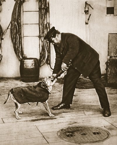 我们拥有的东西！1917年2月的插图战争新闻中的插图（棕褐色照片） 作者 英国摄影师